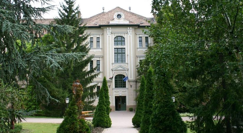 Lenyűgözőek a tatai gimnázium versenyeredményei