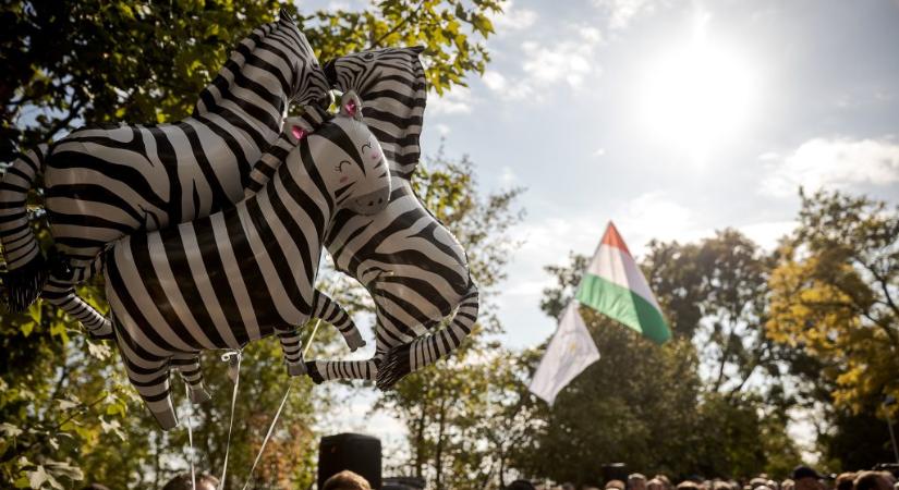 Elpusztult három zebra idén Hatvanpusztán