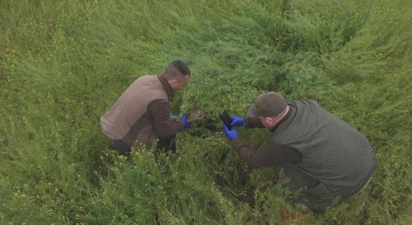 Sikersztori az agráriumban: Így hozott össze gazdákat és vadászokat a modern dróntechnológia