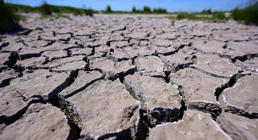 HUN-REN: a vizes élőhely helyreállítása javíthatná az Alföld vízháztartását