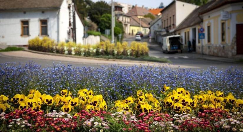 Hűvös éjszaka közelít a Szekszárdi-dombság felé