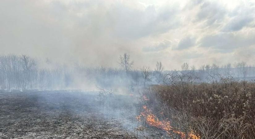 Érvénybe lépett a tűzgyújtási tilalom: itt vannak a részletek