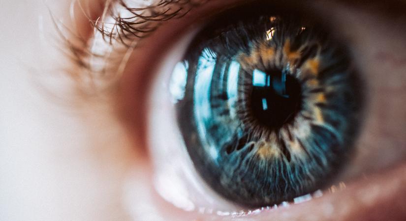 A szemszín is árulkodik az intelligenciáról, kiderült, hogy a barna, kék, szürke vagy zöld szeműek az okosabbak