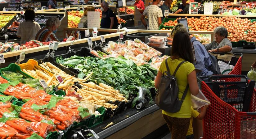 Megjött az Auchan bizonyítványa: mérsékelt forgalombővülés zuhanó nyereséggel párosult, de a benzinkutak kitettek magukért