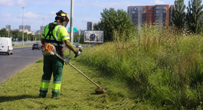 Még tart a Vágatlan Május, de a debreceni önkormányzat kaszálásba kezdett