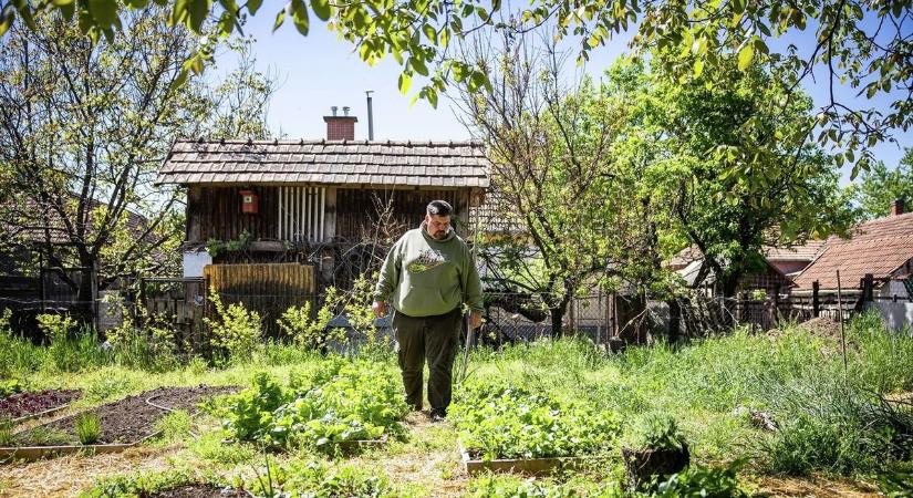 Hiába szólsz a szomszédnak, nagy ívben tesz rá? Repülhet a gigabírság, ha megszegi a legfontosabb kerti szabályt!