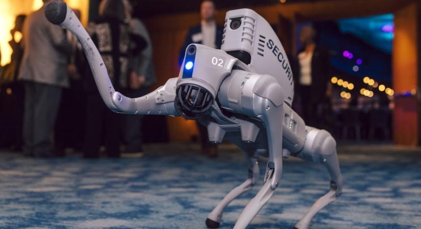 Robotkutyák fogtak el autókat feltörő tolvajokat egy lakótelepen Atlantában
