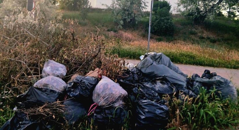 A havihegyi szeméthegy senkit nem zavar?!