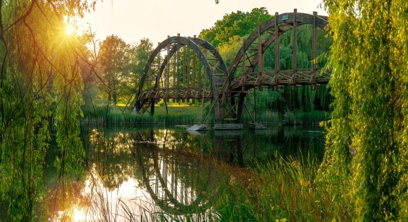 Tündérek és bivalyok nyomában – Mutatjuk a Kis-Balaton legjobb családi búvóhelyeit