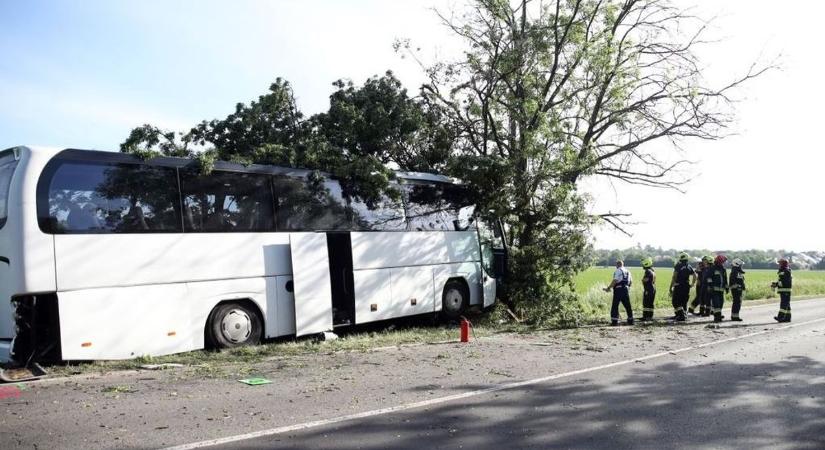 Nagyon súlyos buszbaleset történt Pécs mellett – több tucat gyerek sérült meg, halott is van