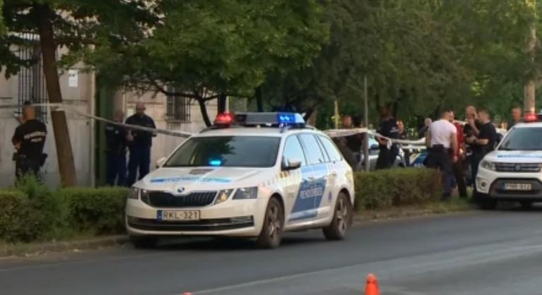 Az egyik fiú csuklója majdnem leszakadt – bozótvágóval támadtak rá egy testvérpárra Csepelen