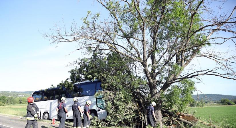 A pécsi aerobikosok busza csapódott fának Hirdnél