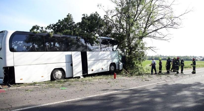Tragédia: egy ember meghalt, amikor fának ütközött egy gyerekeket szállító busz Pécsnél - helyszíni fotók