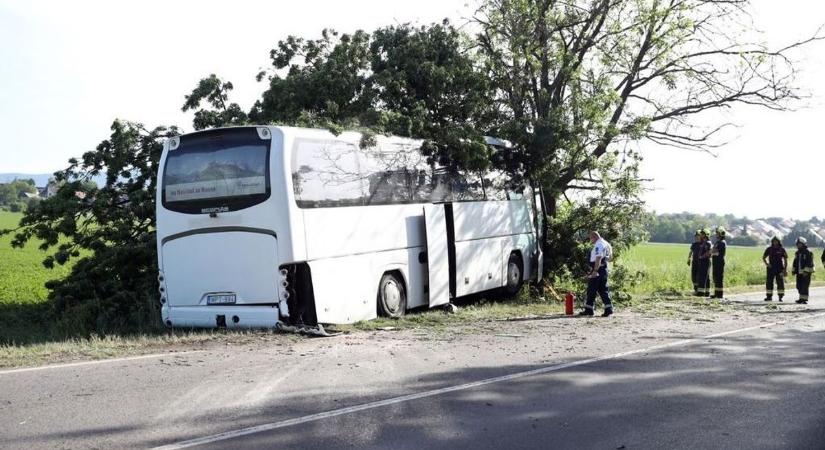 Drámai buszbaleset Pécs mellett: a sofőr elhunyt, 25 gyermek volt a járművön