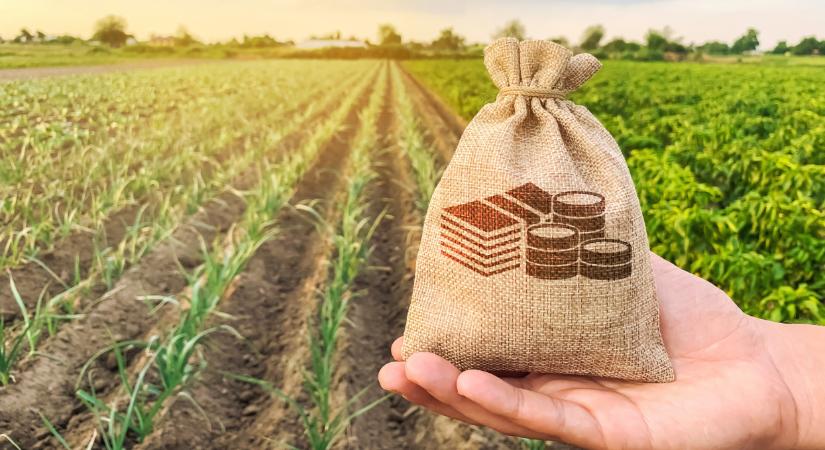 Megszólalt az agrárminiszter: komoly fejlődés jöhet az agráriumban
