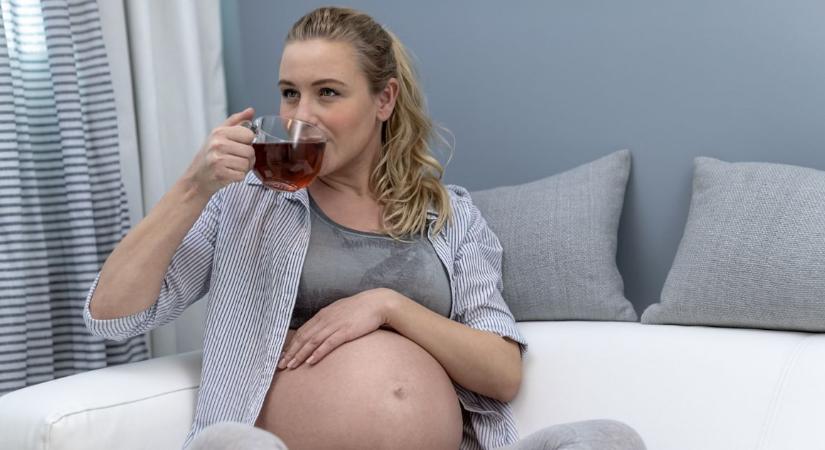 Málnalevél tea várandósság alatt – Tiltott vagy ajánlott?