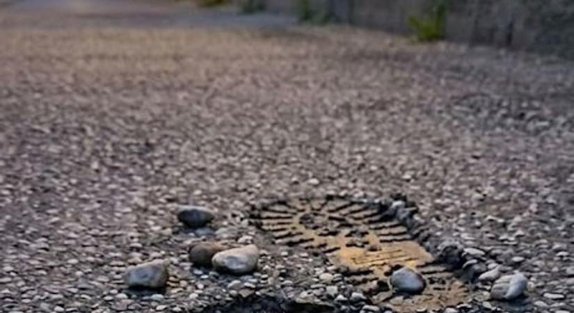 Egyetlen lépésen múlt: ritka találkozás a miskolci aszfalton