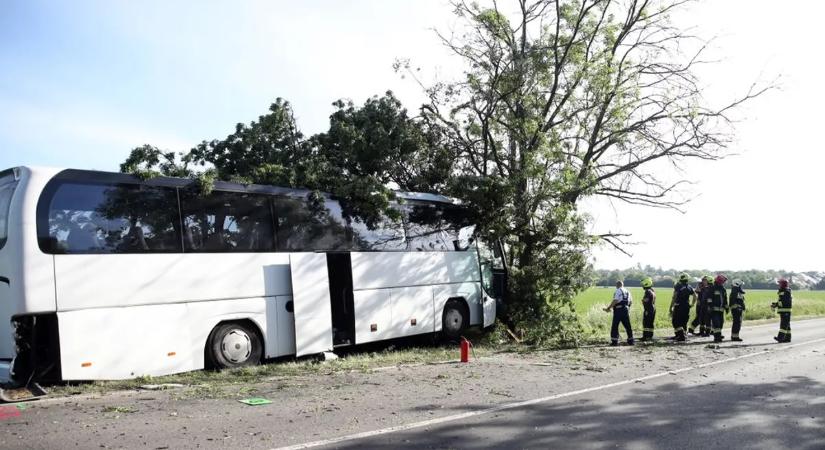 Halálos buszbaleset Pécs mellett: aerobikos gyerekeket szállított a jármű