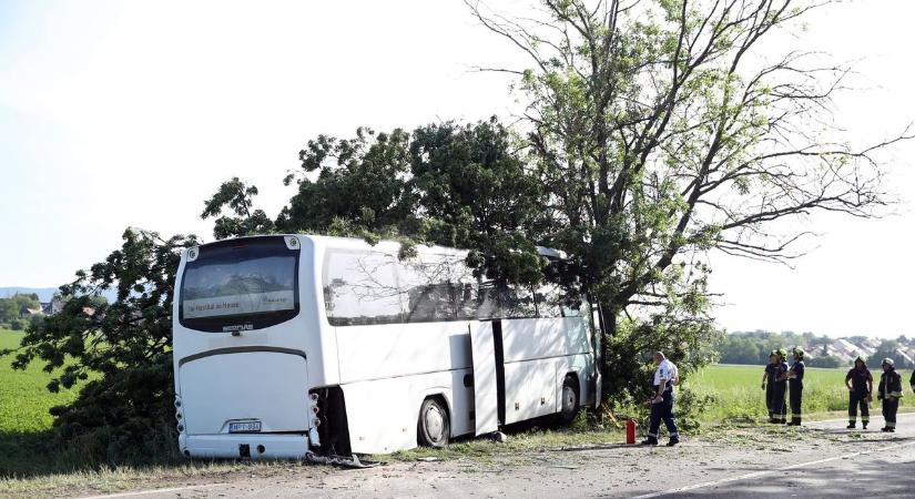 Halálos buszbaleset: baranyai közéleti szereplők fejezték ki együttérzésüket