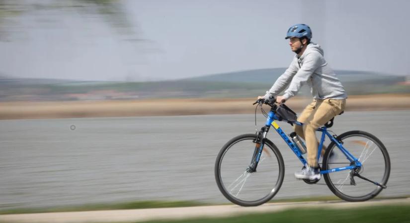 Bringával a Balatonra: ezek a legfontosabb tudnivalók