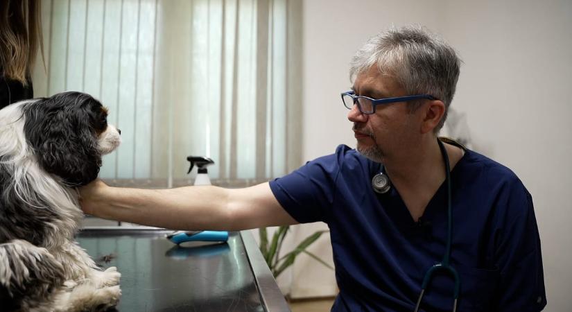 „Lett volna még feladatom” – Hadházy Ákos 20 év politizálást hagyott maga mögött
