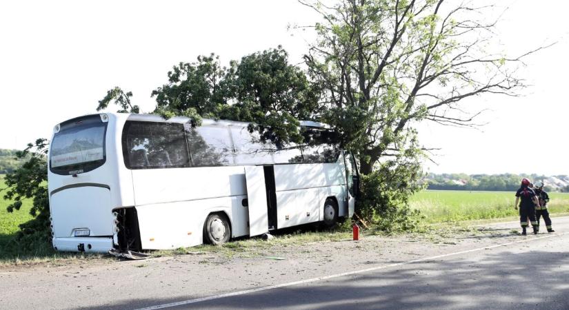 Gyerekeket szállító busz balesetezett Hird közelében, a sofőr meghalt, sok sérült