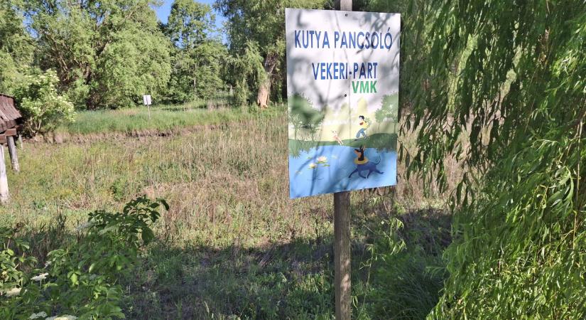 Lassan beerdősül a Vekeri-tó medre