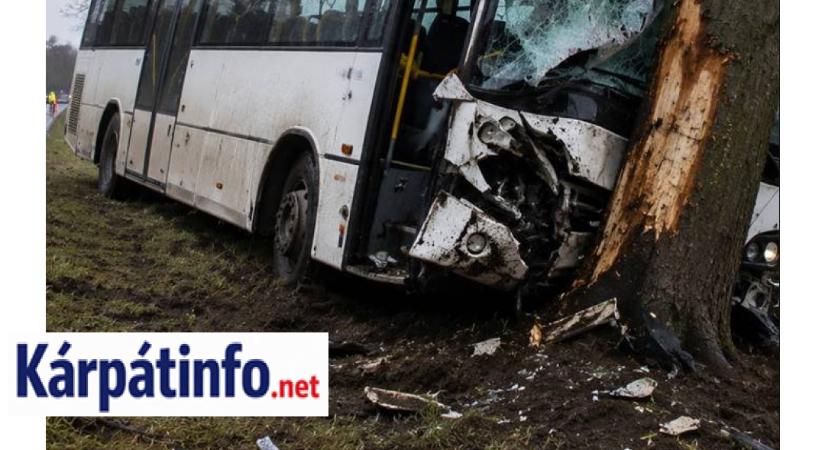 Tragikus buszbaleset Pécsnél: meghalt a sofőr, 23 sérültet vittek kórházba