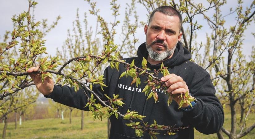 Sürgetik a termelőket: hamarosan lejár a fagykár-bejelentés határideje