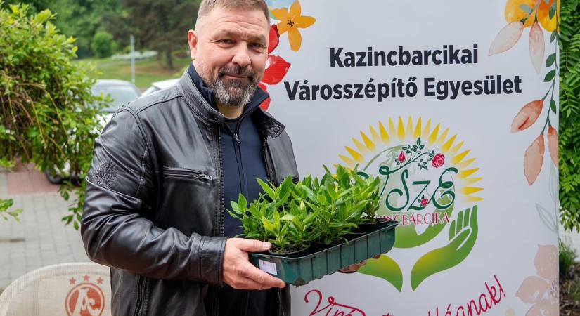 Megszűnhet a zöldfelület-védelmi adó Kazincbarcikán