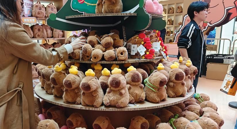 Hogyan lett a trópusok tankjából popkulturális ikon? – Kedvencünk, a kapibara