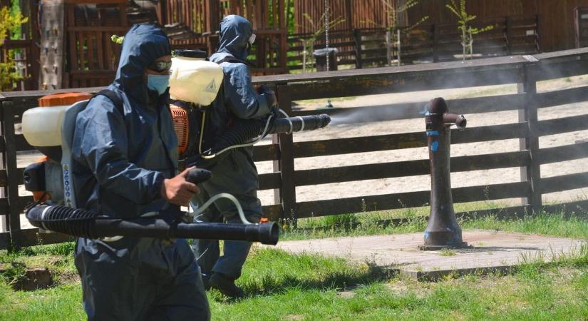 Több mint 20 gyerek is érintett a hajdú-bihari járványban - a polgármester osztott meg részleteket - videóval