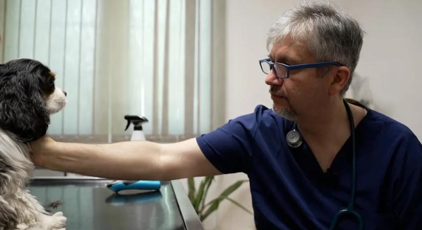Hadházy Ákos: Engem ne sajnáljon senki sem, a dolgomat elvégeztem, a családom szép, a munkám szép
