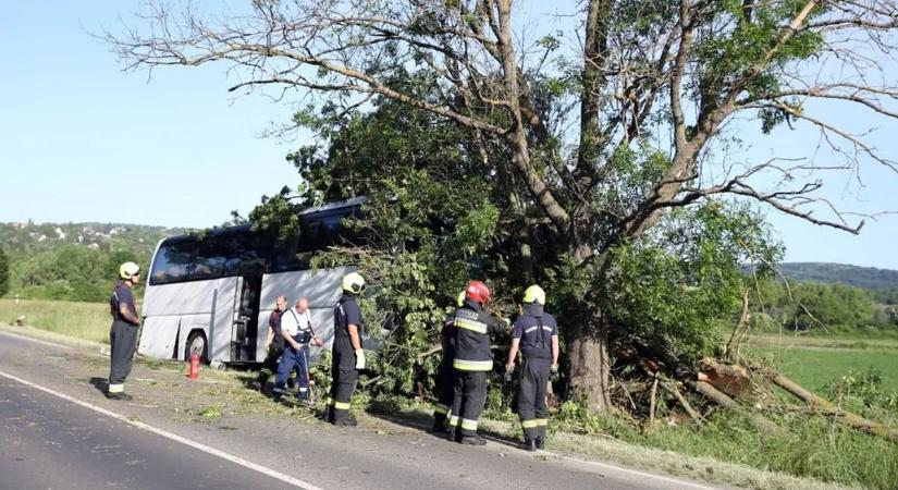 Halálos buszbaleset Pécsnél: így halhatott meg a sofőr - megrázó részletek