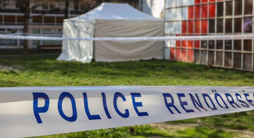 Elkattant a férfi agya: rálőtt, majd ledugott egy fadarabot a sértett torkán