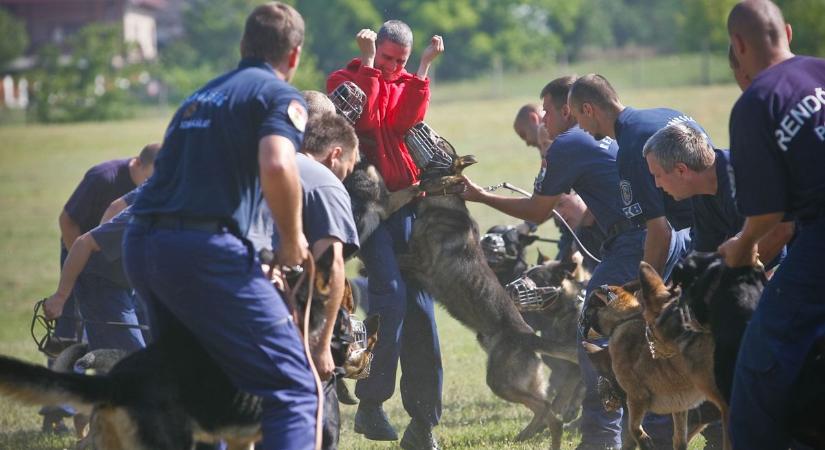 Őket küldik, ha szinte lehetetlen a rendőrségi küldetés – kőkemény kiválasztással lehet bekerülni a speciális alakulatba