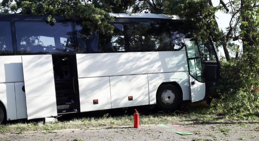 Gyerekeket szállító busz rohant fának – A sofőr életét vesztette, több súlyos sérült is van