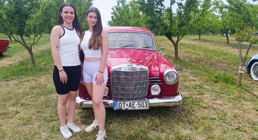 Veterán autók találkoztak sárgabarackok és levendulák között Rajkán - fotók