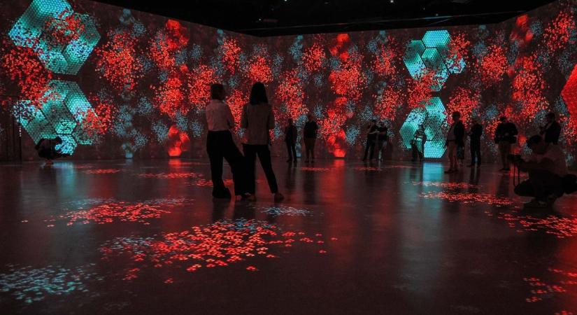 Vasarely öröksége digitális térben született újjá Veszprémben (galéria  videó)