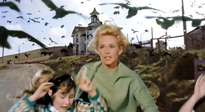 A Madarak új sorozatként tér vissza – Sarah Snook veszi át Hitchcock rémálmának középpontját
