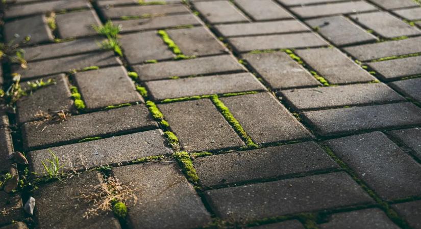 A legtöbben rosszul tisztítják a térkövet – ezeket a hibákat ne kövesse el!