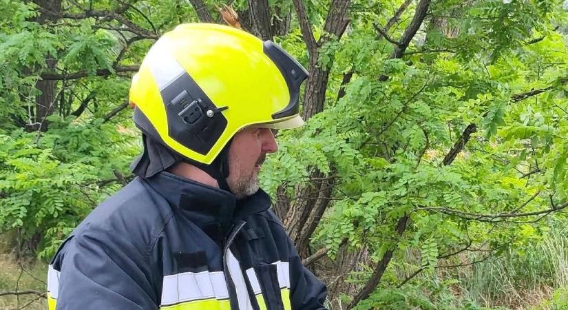 Riasztás futott be a gyereknapon, azonnal rohantak a tűzoltók