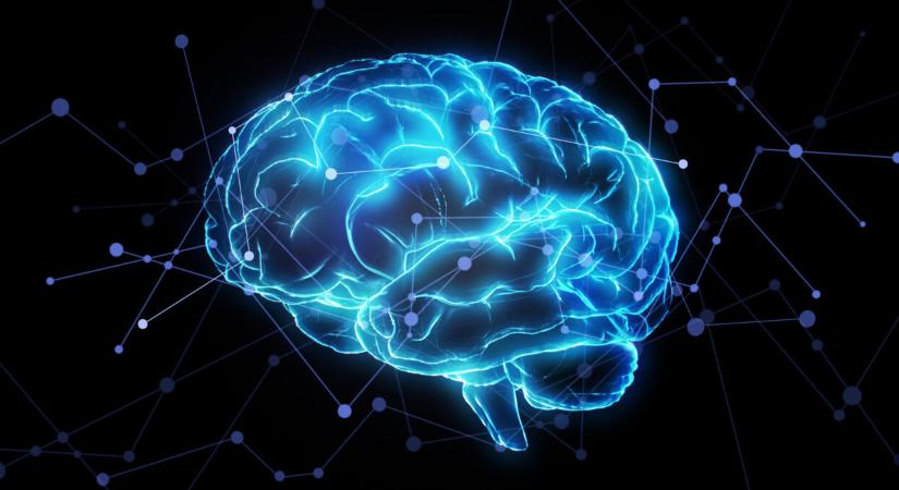 Egy új neurobiológiai projekt azt próbálja kideríteni, miképp alakítja az agy a döntéseket a vizuális információk nyomán