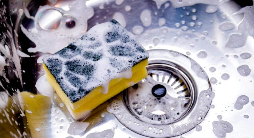 Napi szinten használjuk, pedig baktériumok melegágya lehet – figyelmeztet a Nébih