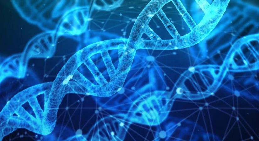 Új neurobiológiai és kémiai kutatási program indul a BrainVisionCenterben