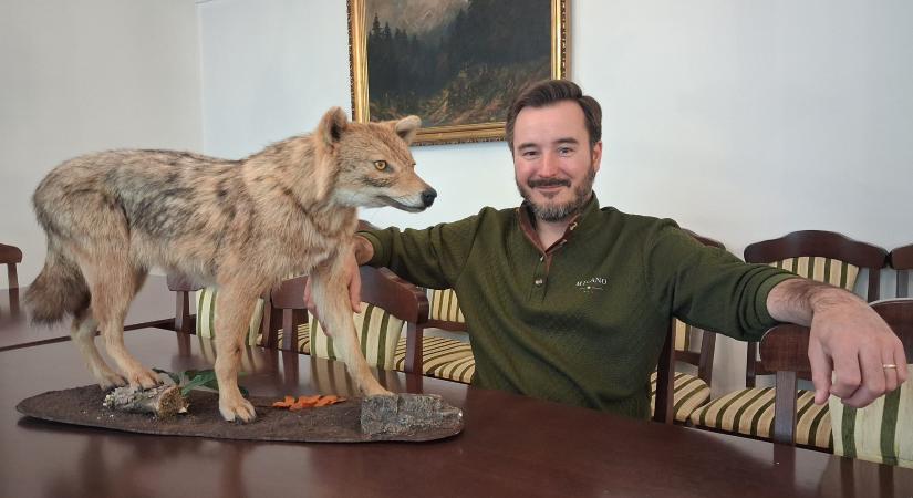 A sakálok egyre jobban terjednek, és nem kizárt, hogy ezek is megjelennek majd a budai kerületekben