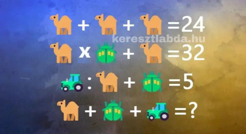 Napi matek feladat: Teve, traktor, bogár, a 3. sor a legfontosabb