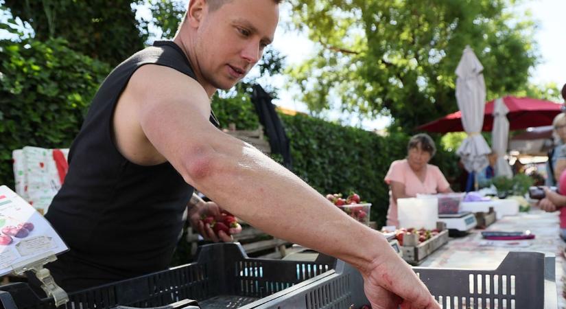 Az íze mennyei, édes és roppanós, kilószámra viszik a szegediek a nyár egyik kedvenc gyümölcsét