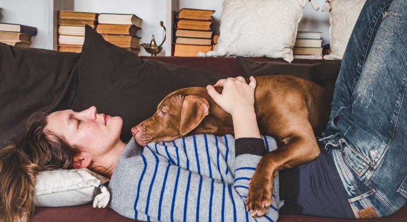 Mit jelent, ha a kutyád felsóhajt és „ledobja magát” melléd? 7 érzelmi állapot, és ami mögötte lehet