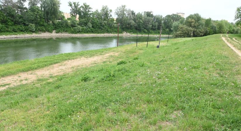 Ellátogattunk a szolnoki szabadstrandra, így néz ki most a terület – galériával, videóval